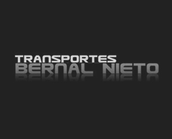 bernal nieto logo