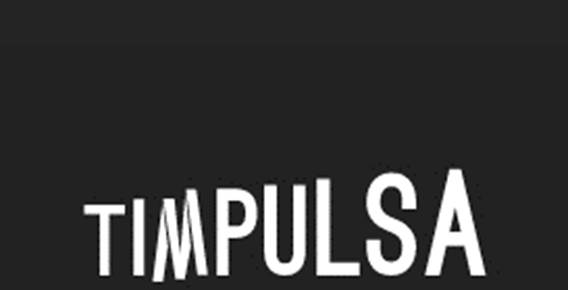 timpulsa logo